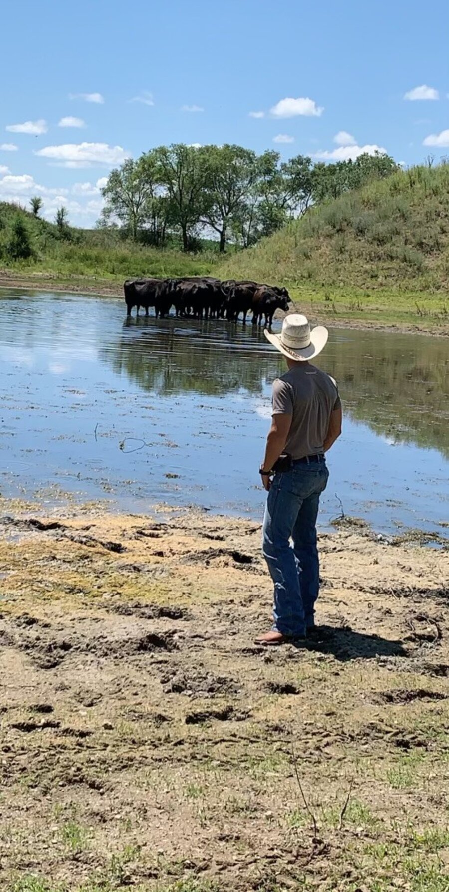 Jon Anderson watching cattle at a pond